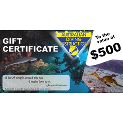 Gift Certificate 